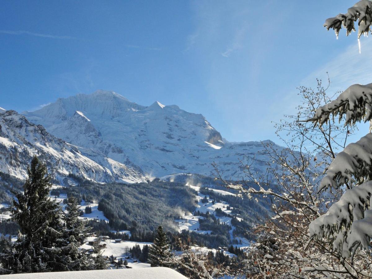 Apartment Breithorn-Residence-3 By Interhome Wengen Esterno foto